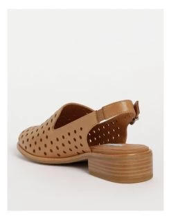 Best deal ❤️ Zazou Adder Tan Flat 👟 Shoe 😀 -Women Shoes shop 848103850 3 720x928