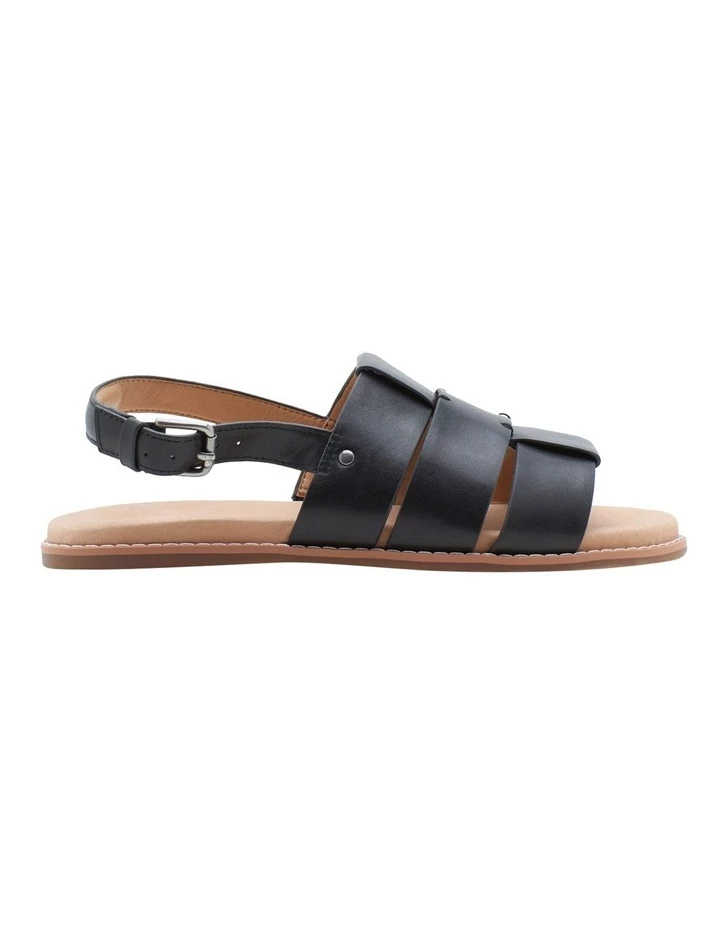 Wholesale π₯° Hush Puppies Paloma Black π©΄ Sandal π 1 Wholesale π₯° Hush Puppies Paloma Black π©΄ Sandal π